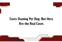 Costs Owning Pet Dog Costs Owning Pet Dog